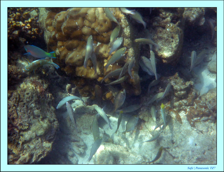 2011 - 03 - Koh Ngai 100